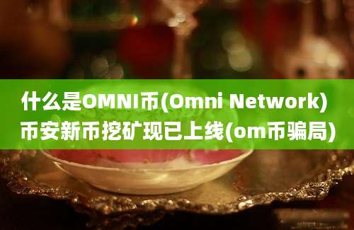 什么是OMNI币(Omni Network) 币安新币挖矿现已上线(om币骗局)