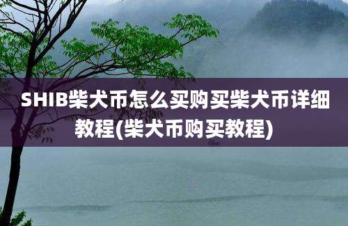 SHIB柴犬币怎么买购买柴犬币详细教程(柴犬币购买教程)