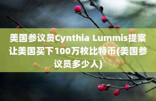 美国参议员Cynthia Lummis提案让美国买下100万枚比特币(美国参议员多少人)