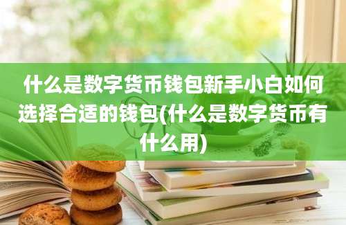 什么是数字货币钱包新手小白如何选择合适的钱包(什么是数字货币有什么用)