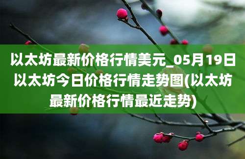 以太坊最新价格行情美元_05月19日以太坊今日价格行情走势图(以太坊最新价格行情最近走势)