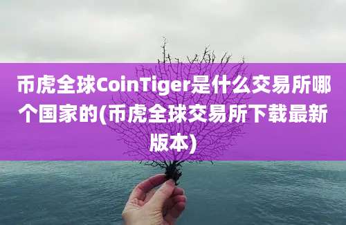 币虎全球CoinTiger是什么交易所哪个国家的(币虎全球交易所下载最新版本)