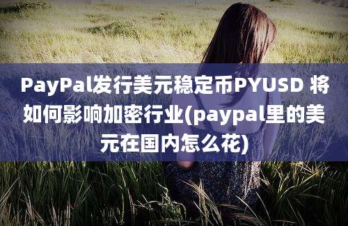 PayPal发行美元稳定币PYUSD 将如何影响加密行业(paypal里的美元在国内怎么花)