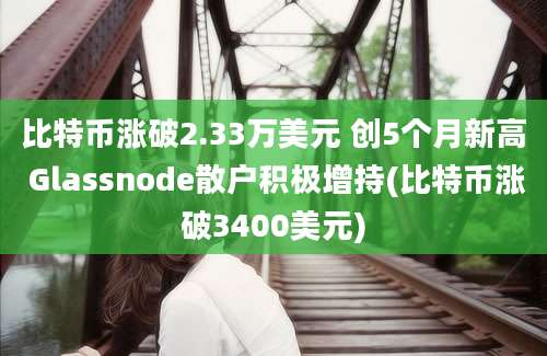 比特币涨破2.33万美元 创5个月新高 Glassnode散户积极增持(比特币涨破3400美元)