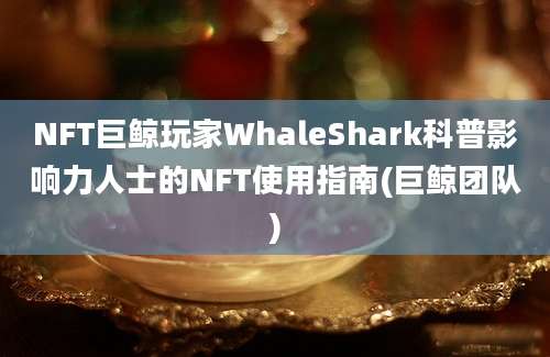 NFT巨鲸玩家WhaleShark科普影响力人士的NFT使用指南(巨鲸团队)