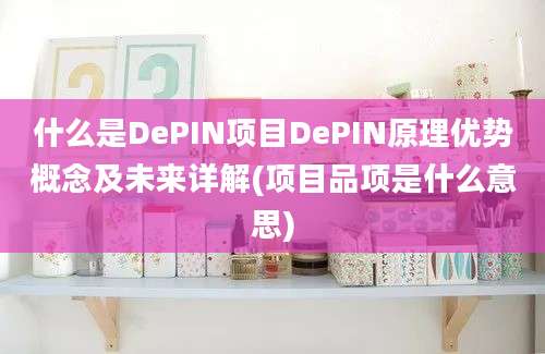 什么是DePIN项目DePIN原理优势概念及未来详解(项目品项是什么意思)