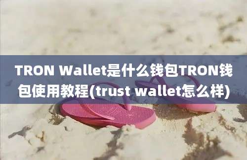 TRON Wallet是什么钱包TRON钱包使用教程(trust wallet怎么样)