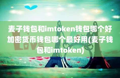 麦子钱包和imtoken钱包哪个好加密货币钱包哪个最好用(麦子钱包和imtoken)