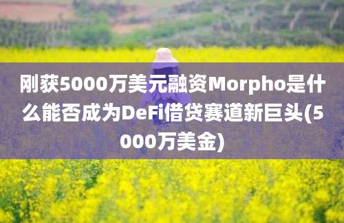 刚获5000万美元融资Morpho是什么能否成为DeFi借贷赛道新巨头(5000万美金)