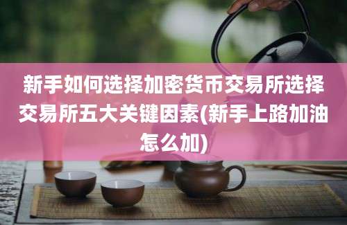 新手如何选择加密货币交易所选择交易所五大关键因素(新手上路加油怎么加)