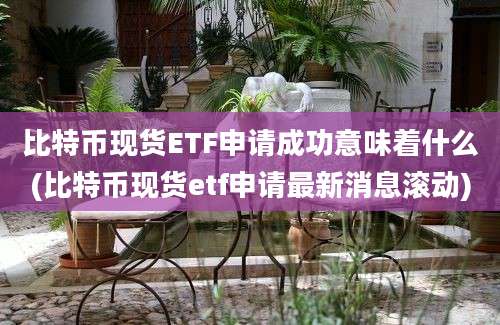 比特币现货ETF申请成功意味着什么(比特币现货etf申请最新消息滚动)