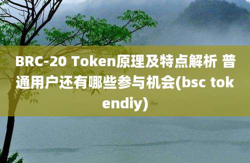 BRC-20 Token原理及特点解析 普通用户还有哪些参与机会(bsc tokendiy)