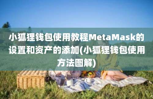 小狐狸钱包使用教程MetaMask的设置和资产的添加(小狐狸钱包使用方法图解)