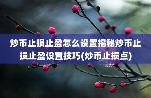 炒币止损止盈怎么设置揭秘炒币止损止盈设置技巧(炒币止损点)