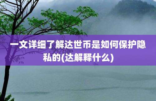 一文详细了解达世币是如何保护隐私的(达解释什么)