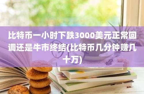 比特币一小时下跌3000美元正常回调还是牛市终结(比特币几分钟赚几十万)