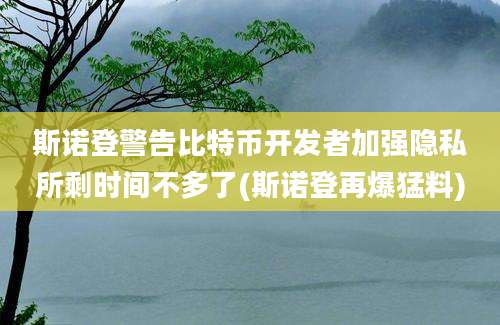 斯诺登警告比特币开发者加强隐私所剩时间不多了(斯诺登再爆猛料)