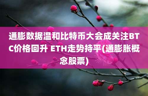 通膨数据温和比特币大会成关注BTC价格回升 ETH走势持平(通膨胀概念股票)