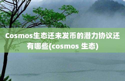 Cosmos生态还未发币的潜力协议还有哪些(cosmos 生态)