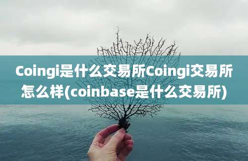 Coingi是什么交易所Coingi交易所怎么样(coinbase是什么交易所)