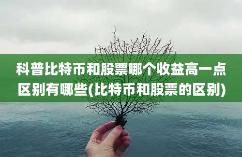 科普比特币和股票哪个收益高一点区别有哪些(比特币和股票的区别)