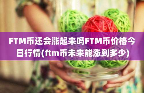 FTM币还会涨起来吗FTM币价格今日行情(ftm币未来能涨到多少)