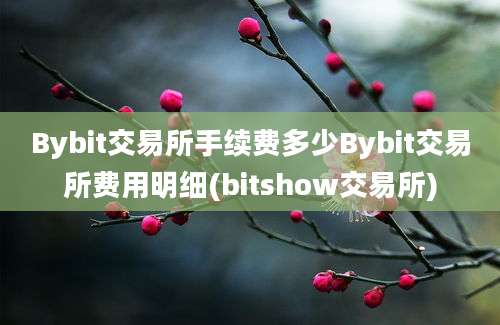 Bybit交易所手续费多少Bybit交易所费用明细(bitshow交易所)