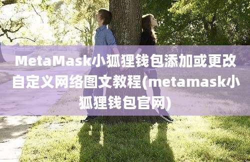 MetaMask小狐狸钱包添加或更改自定义网络图文教程(metamask小狐狸钱包官网)