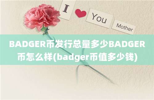 BADGER币发行总量多少BADGER币怎么样(badger币值多少钱)