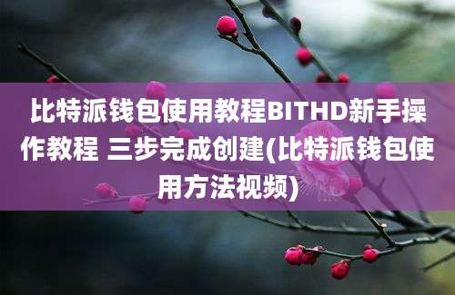 比特派钱包使用教程BITHD新手操作教程 三步完成创建(比特派钱包使用方法视频)