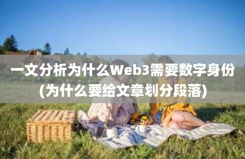 一文分析为什么Web3需要数字身份(为什么要给文章划分段落)