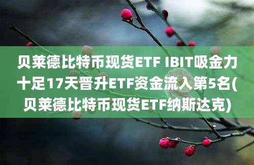 贝莱德比特币现货ETF IBIT吸金力十足17天晋升ETF资金流入第5名(贝莱德比特币现货ETF纳斯达克)