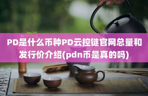 PD是什么币种PD云控链官网总量和发行价介绍(pdn币是真的吗)