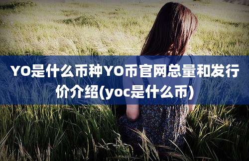 YO是什么币种YO币官网总量和发行价介绍(yoc是什么币)