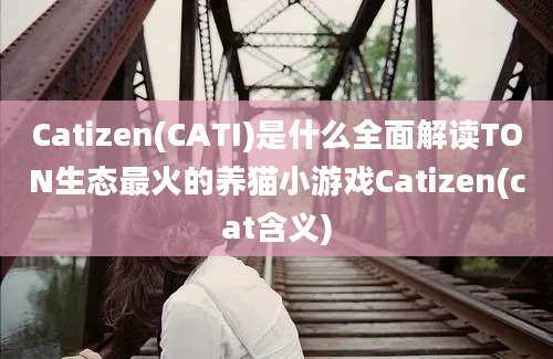 Catizen(CATI)是什么全面解读TON生态最火的养猫小游戏Catizen(cat含义)