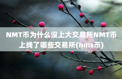 NMT币为什么没上大交易所NMT币上线了哪些交易所(nms币)