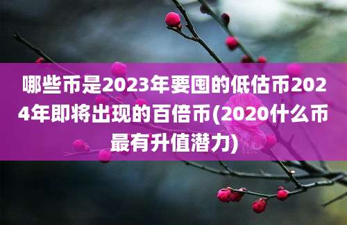 哪些币是2023年要囤的低估币2024年即将出现的百倍币(2020什么币最有升值潜力)