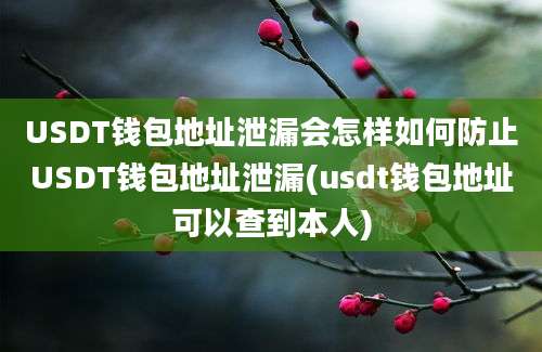 USDT钱包地址泄漏会怎样如何防止USDT钱包地址泄漏(usdt钱包地址可以查到本人)