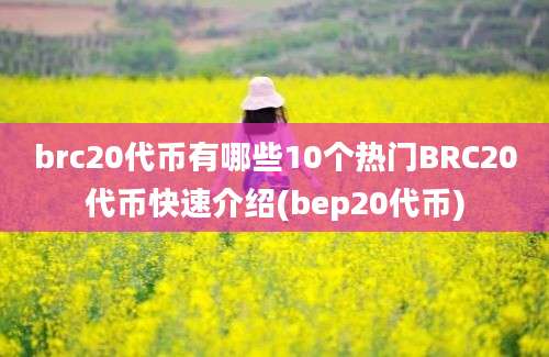 brc20代币有哪些10个热门BRC20代币快速介绍(bep20代币)