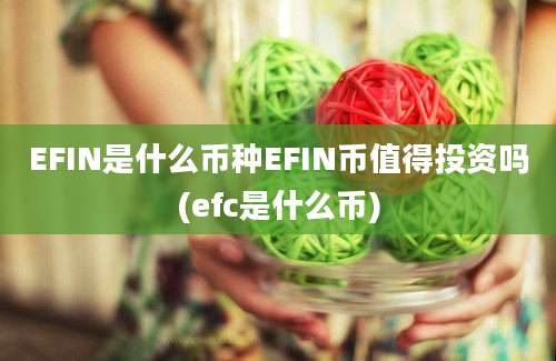 EFIN是什么币种EFIN币值得投资吗(efc是什么币)