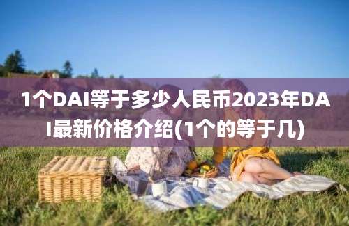 1个DAI等于多少人民币2023年DAI最新价格介绍(1个的等于几)