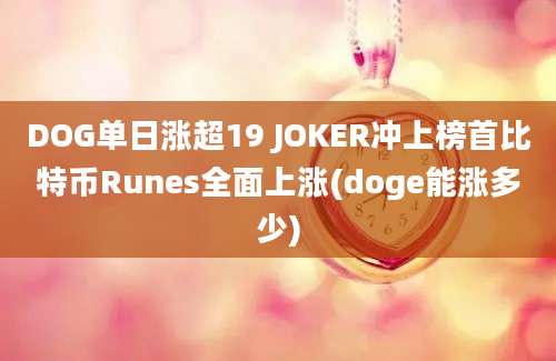 DOG单日涨超19 JOKER冲上榜首比特币Runes全面上涨(doge能涨多少)