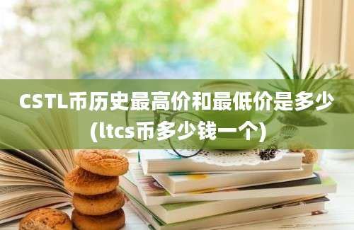 CSTL币历史最高价和最低价是多少(ltcs币多少钱一个)