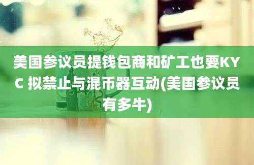 美国参议员提钱包商和矿工也要KYC 拟禁止与混币器互动(美国参议员有多牛)