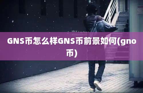 GNS币怎么样GNS币前景如何(gno币)