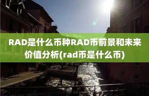 RAD是什么币种RAD币前景和未来价值分析(rad币是什么币)