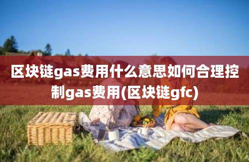 区块链gas费用什么意思如何合理控制gas费用(区块链gfc)