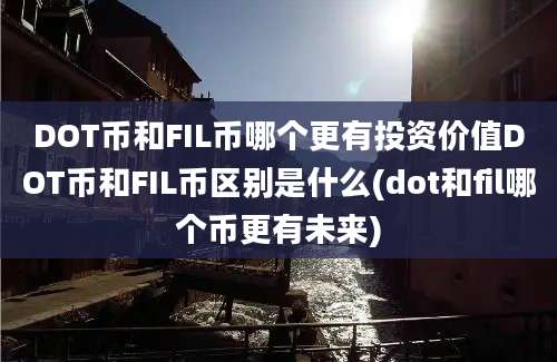 DOT币和FIL币哪个更有投资价值DOT币和FIL币区别是什么(dot和fil哪个币更有未来)