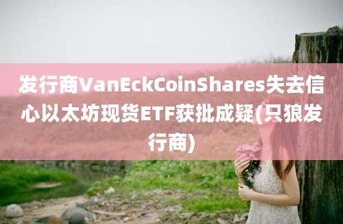 发行商VanEckCoinShares失去信心以太坊现货ETF获批成疑(只狼发行商)