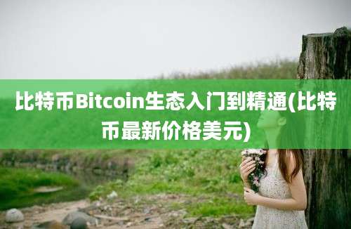 比特币Bitcoin生态入门到精通(比特币最新价格美元)